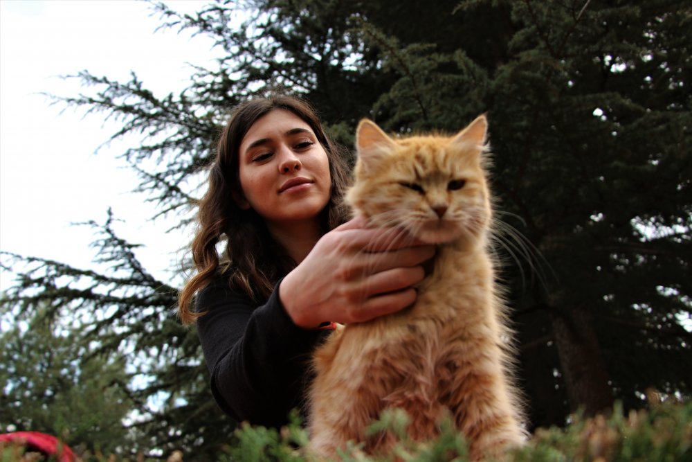 Haber Detay Görseli