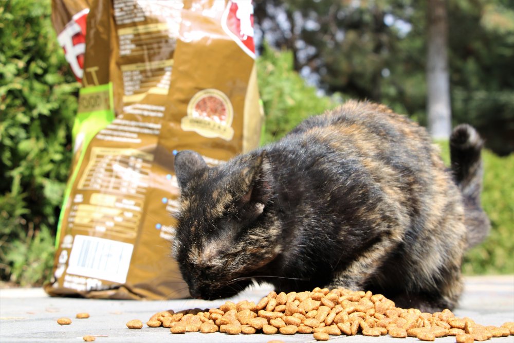 Haber Detay Görseli