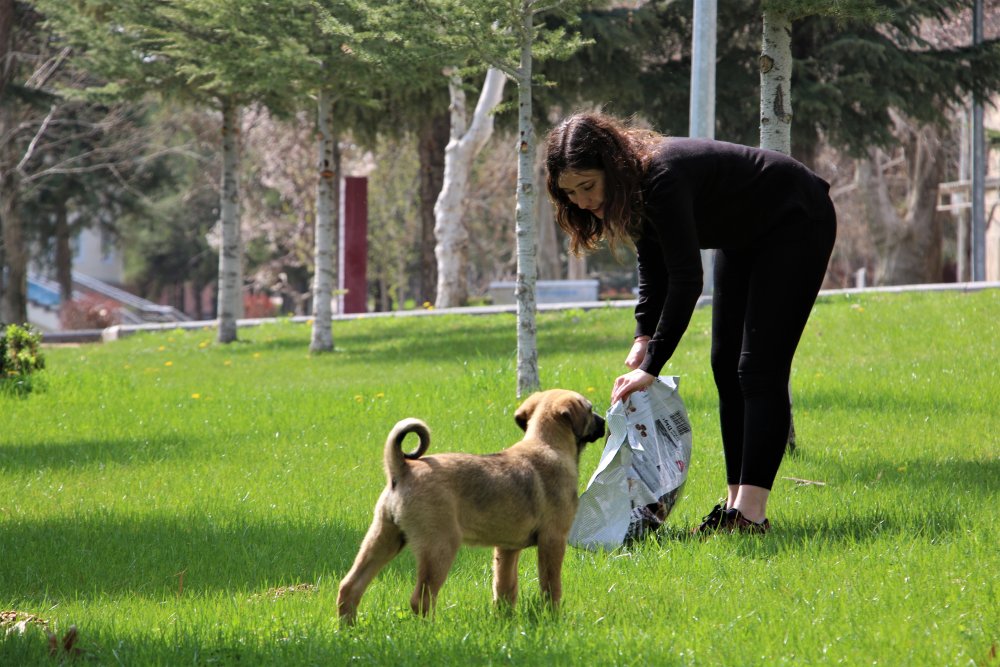 Haber Detay Görseli