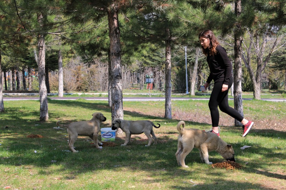 Haber Detay Görseli