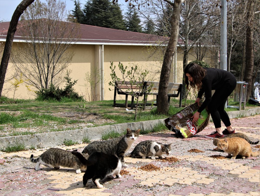 Haber Detay Görseli