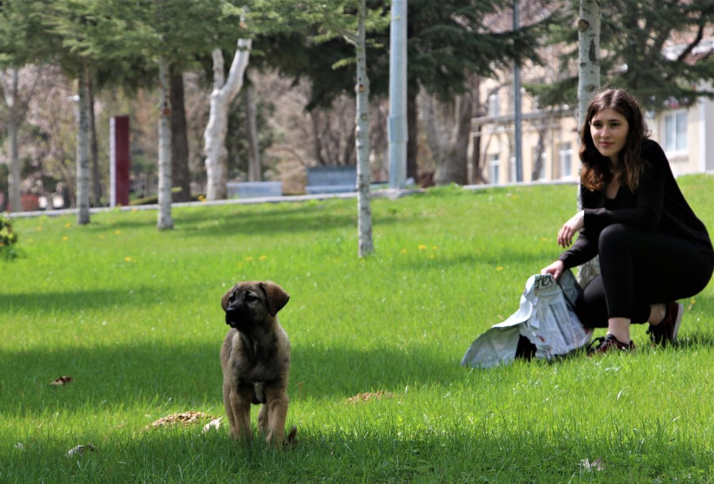 Haber Detay Görseli