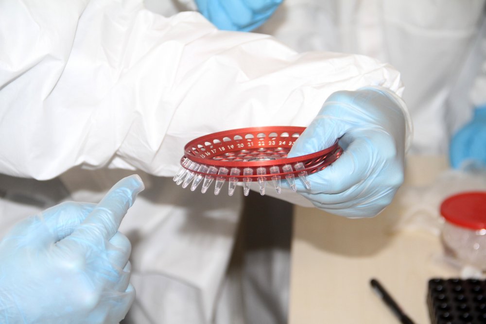 Haber Detay Görseli