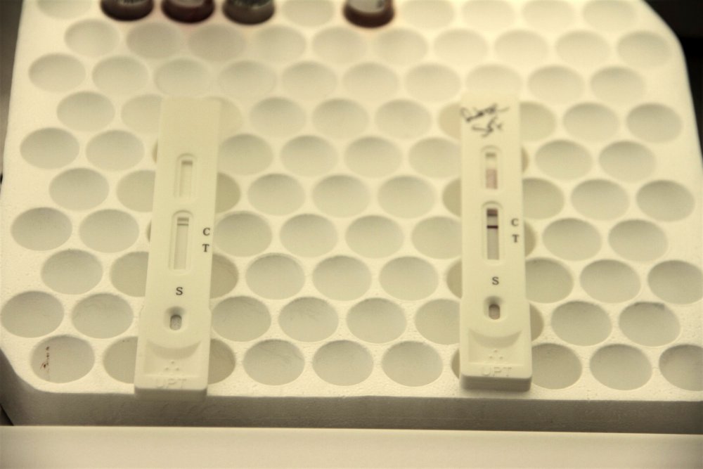 Haber Detay Görseli