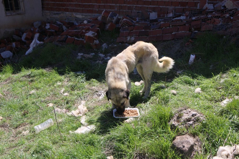 Haber Detay Görseli