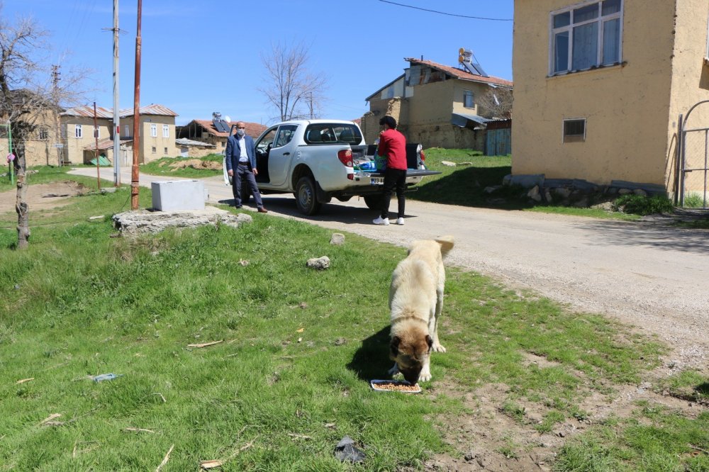 Haber Detay Görseli