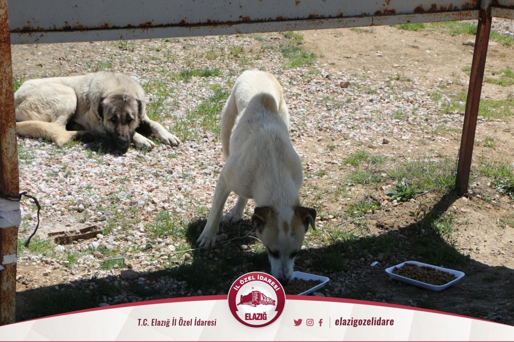 Haber Detay Görseli