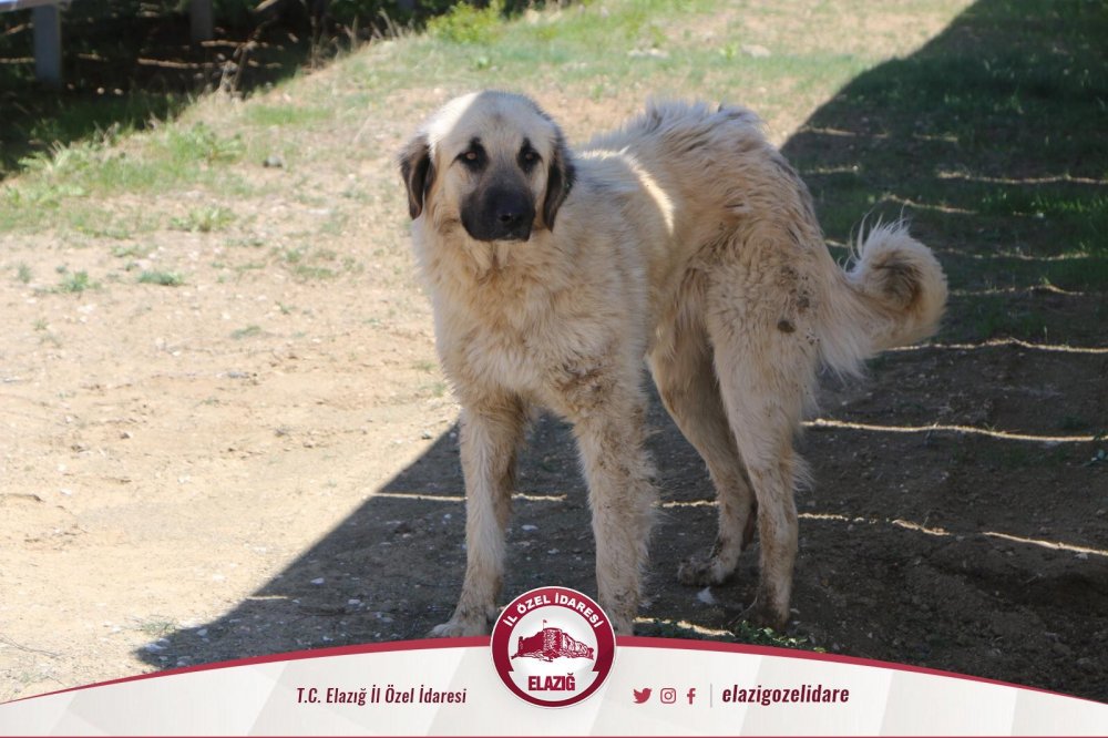 Haber Detay Görseli