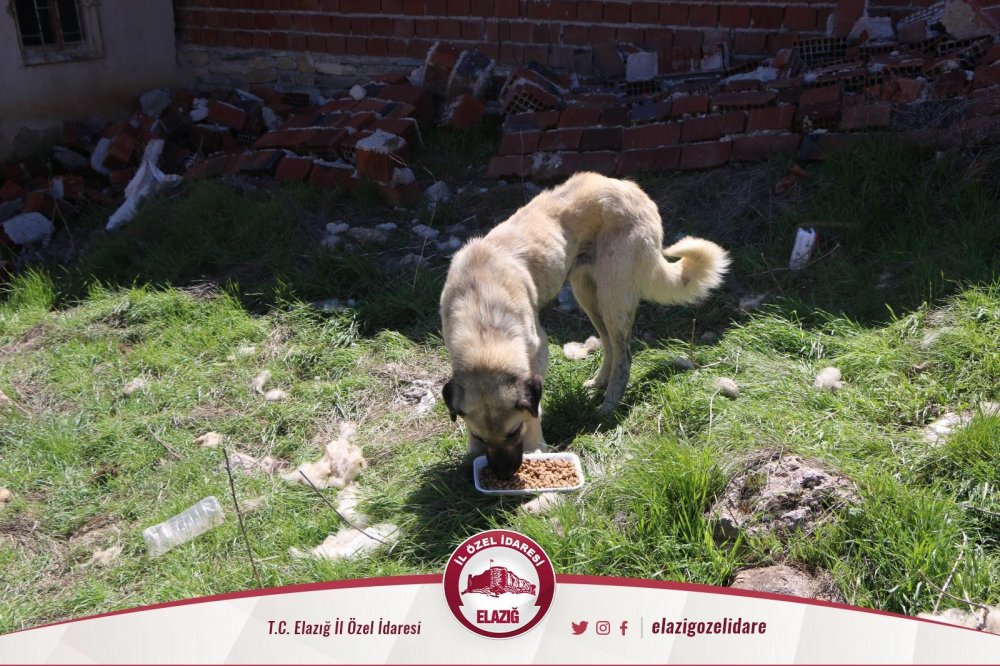 Haber Detay Görseli