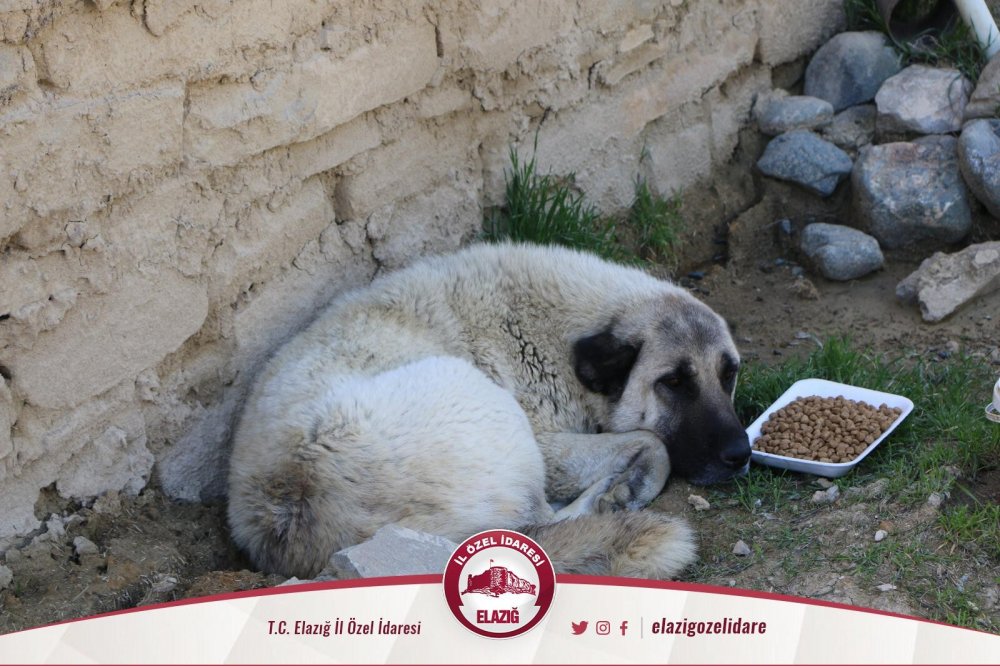 Haber Detay Görseli