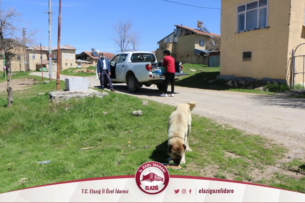 Haber Detay Görseli