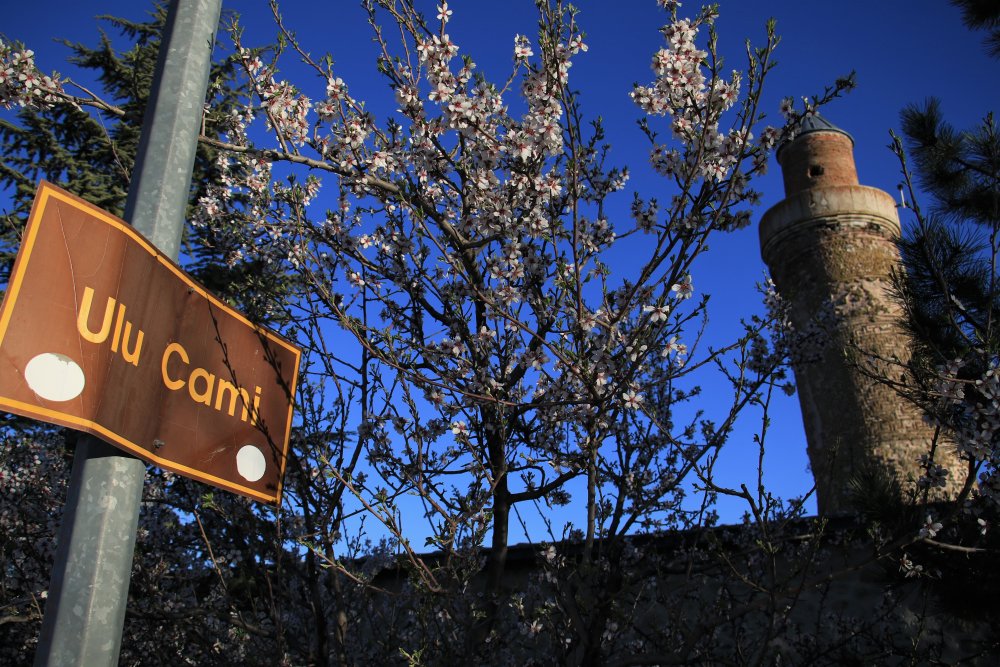 Haber Detay Görseli