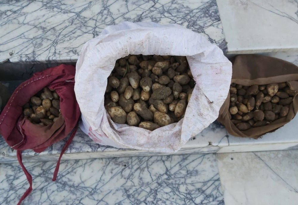 Haber Detay Görseli