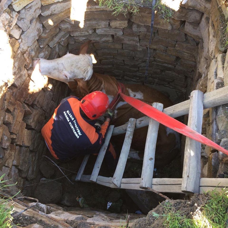 Haber Detay Görseli