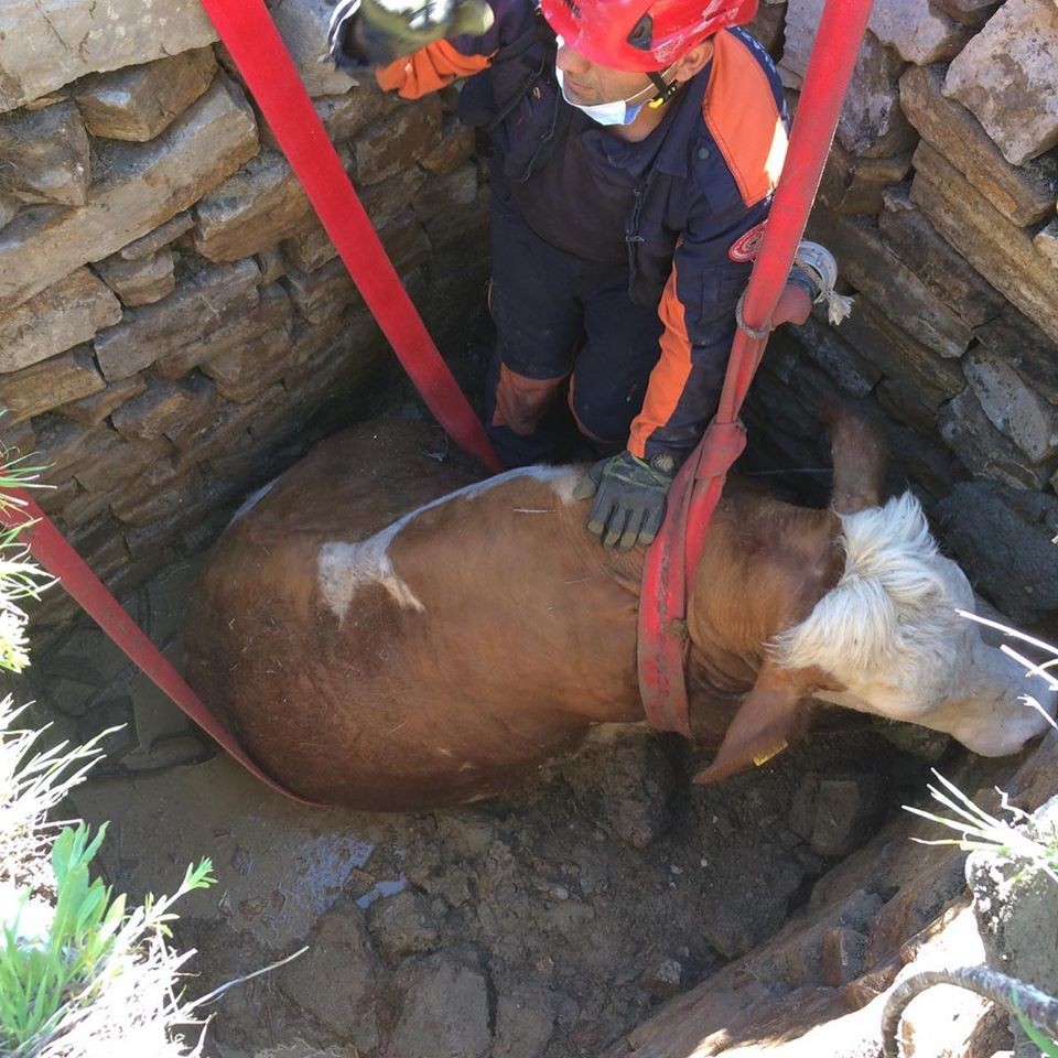 Haber Detay Görseli