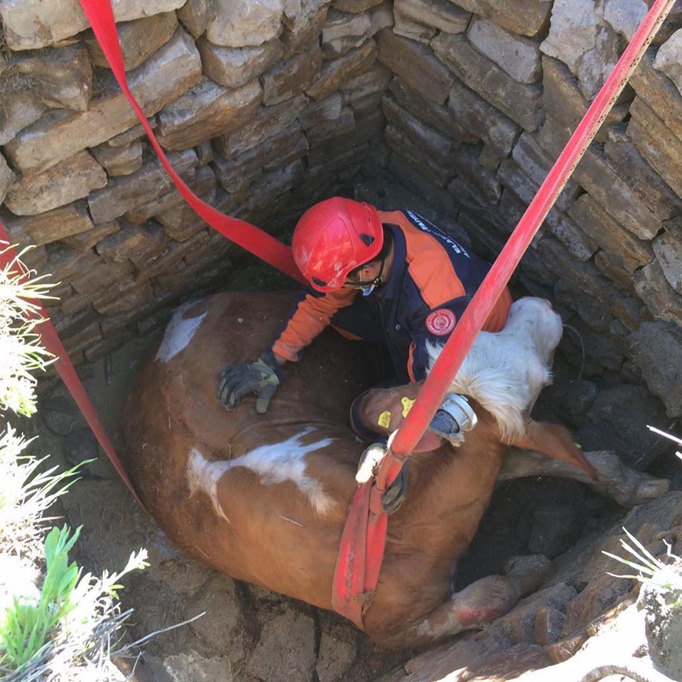 Haber Detay Görseli