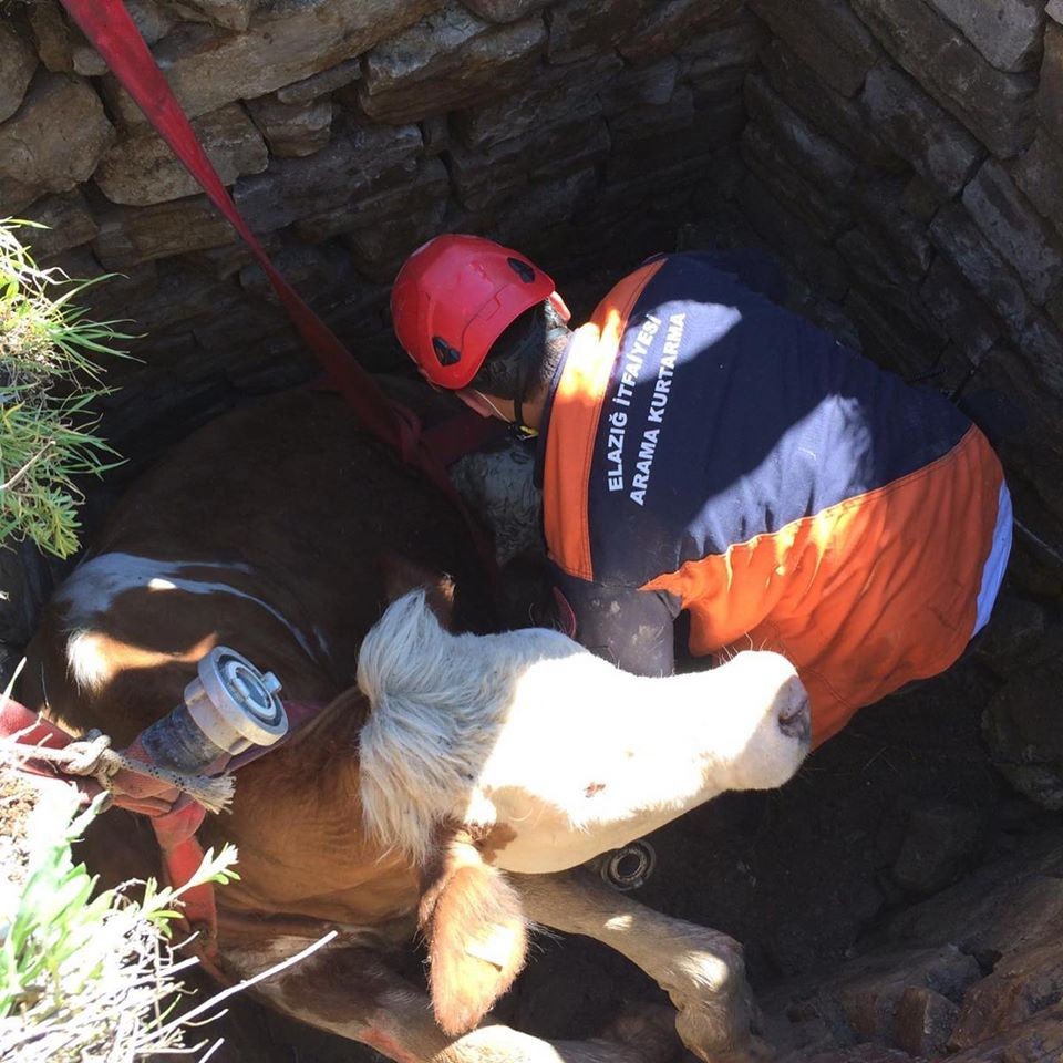 Haber Detay Görseli