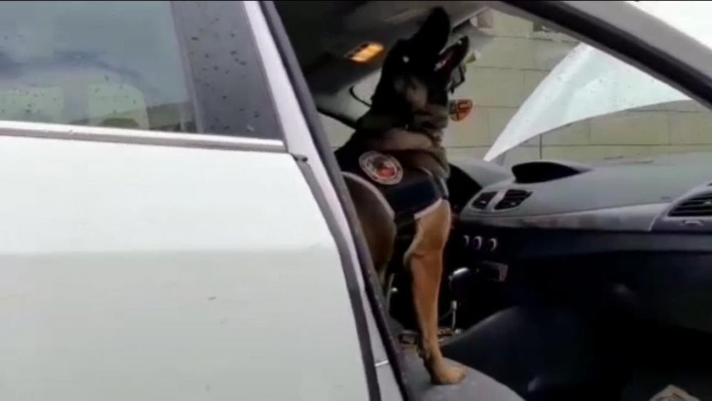 Haber Detay Görseli