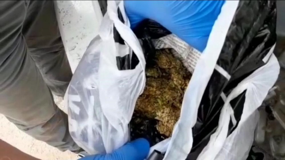 Haber Detay Görseli