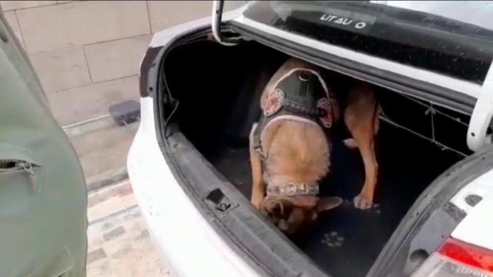 Haber Detay Görseli