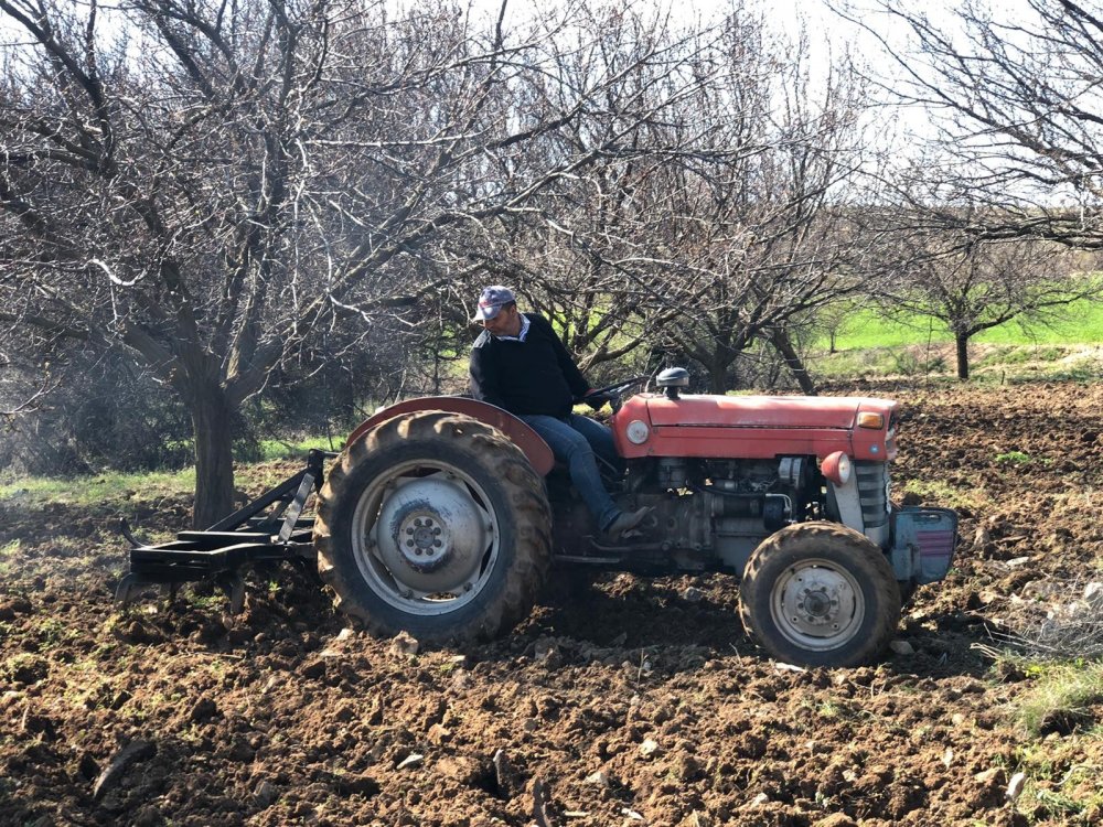 Haber Detay Görseli