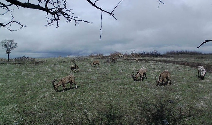 Haber Detay Görseli