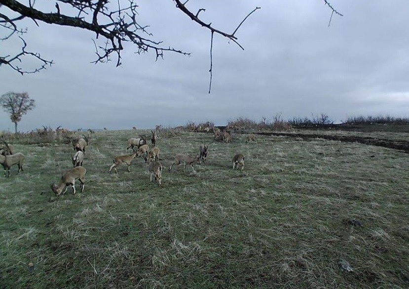 Haber Detay Görseli