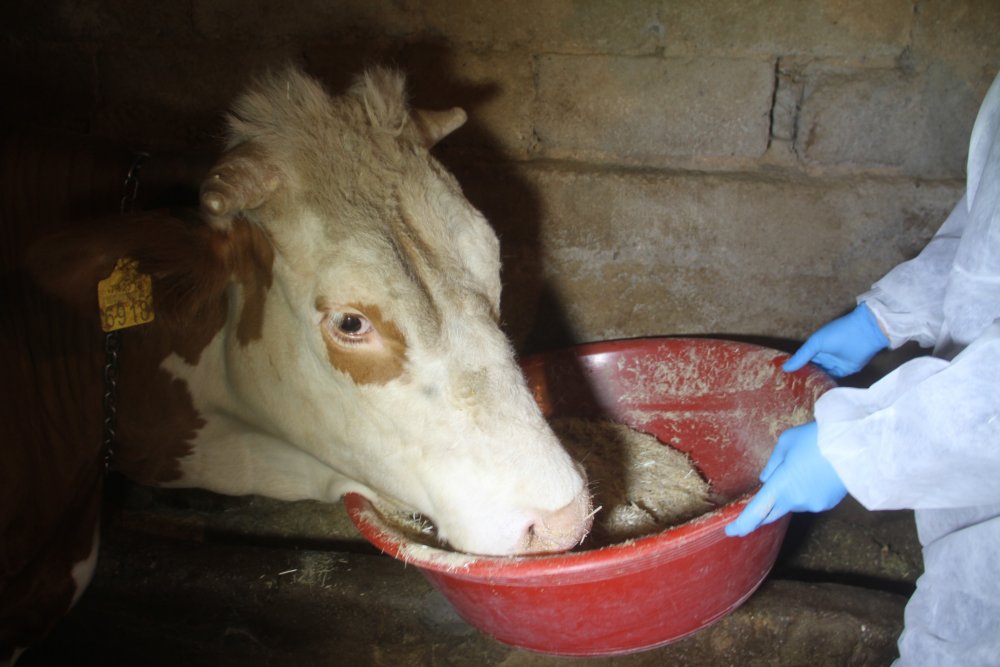 Haber Detay Görseli