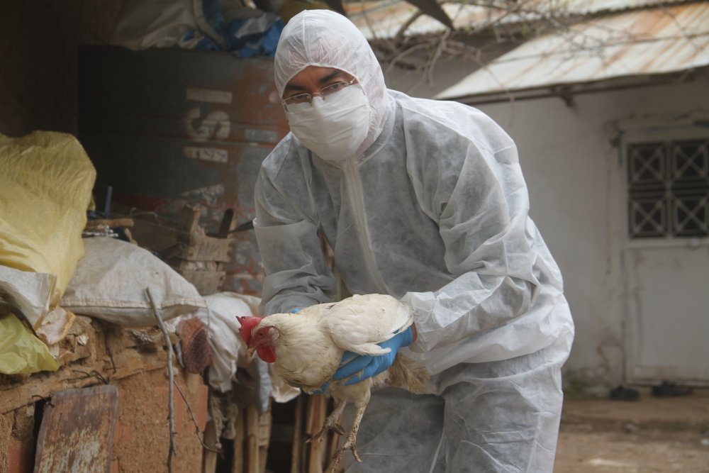 Haber Detay Görseli