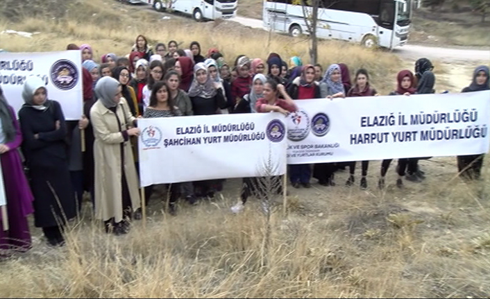 Haber Detay Görseli