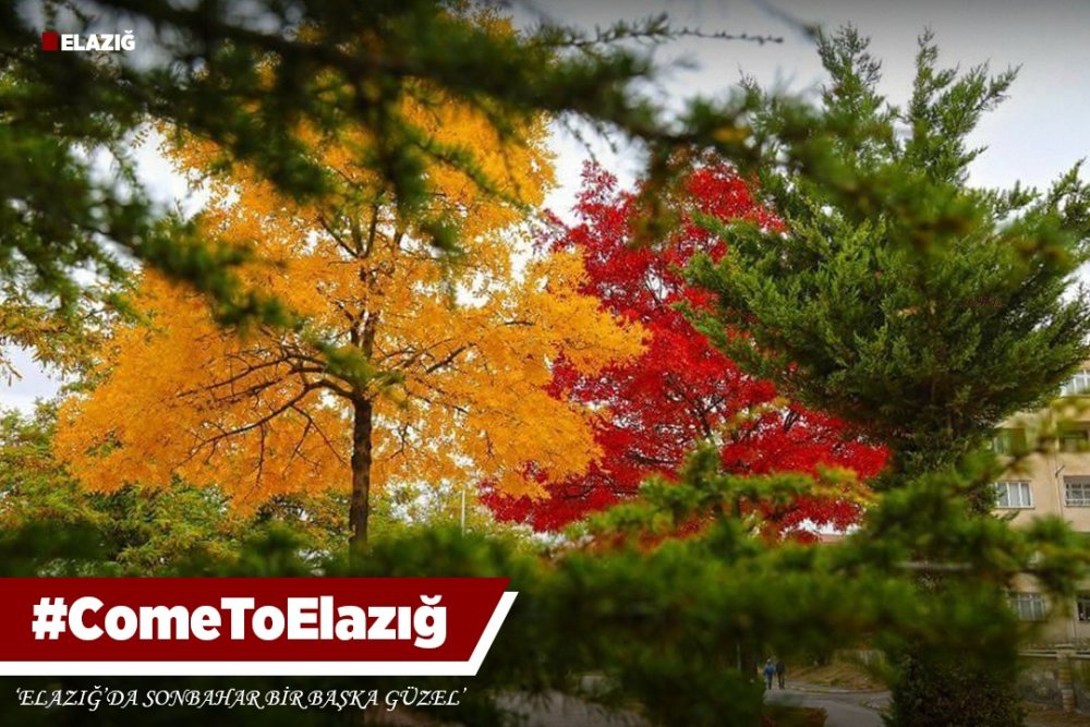 Haber Detay Görseli