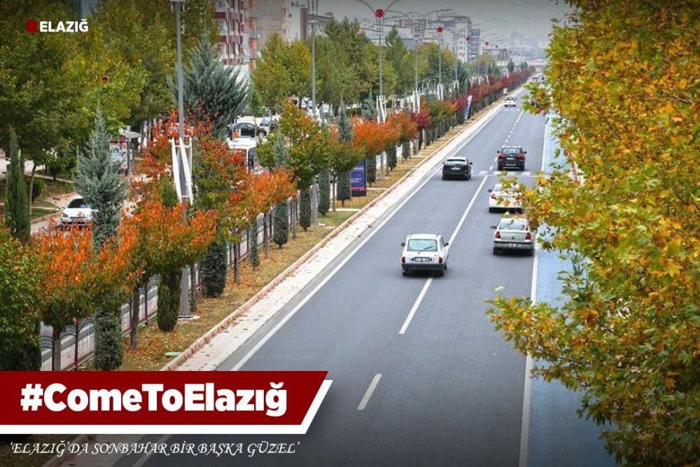 Haber Detay Görseli