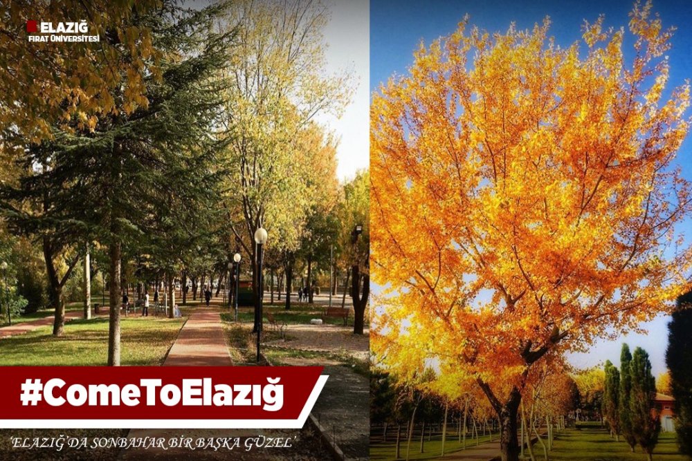 Haber Detay Görseli