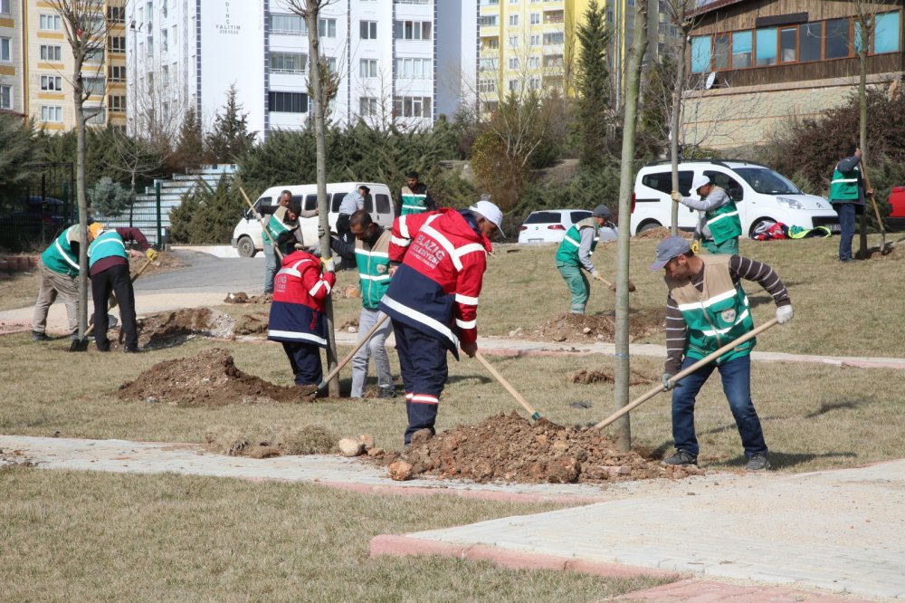 Haber Detay Görseli