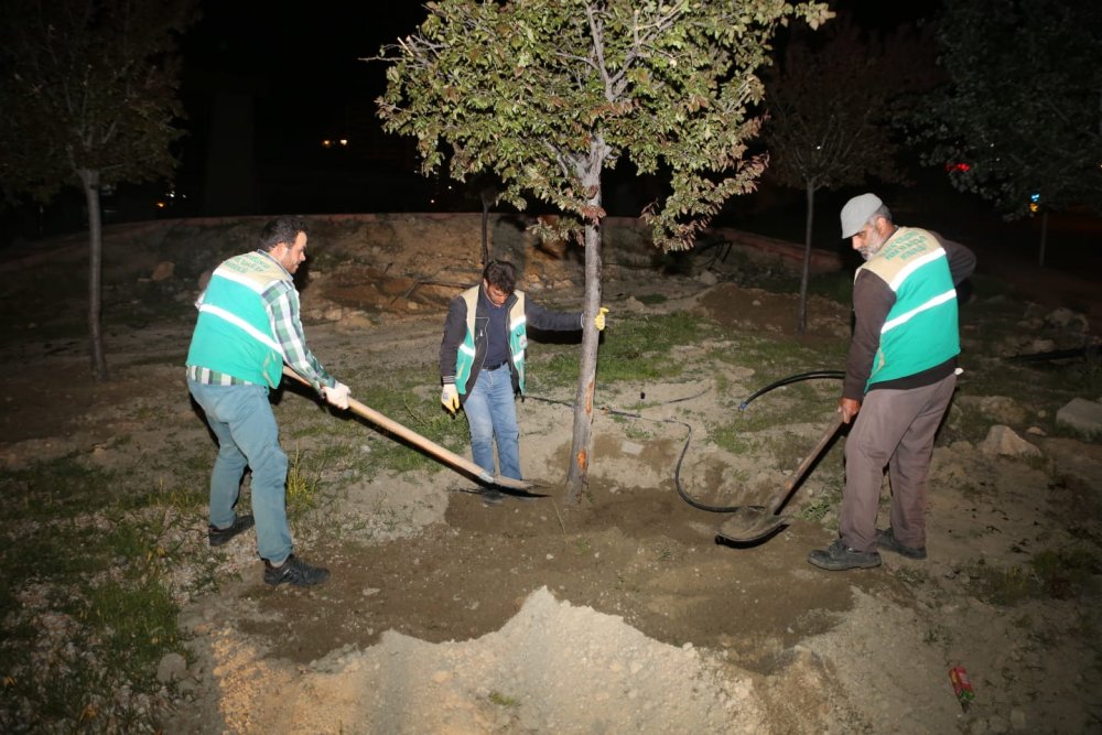 Haber Detay Görseli