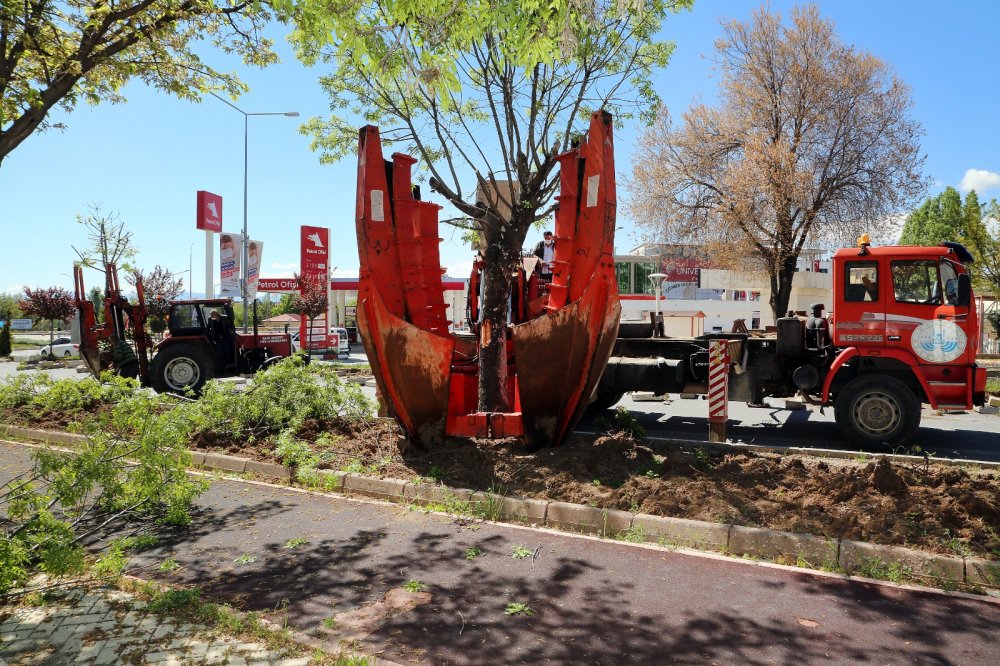 Haber Detay Görseli