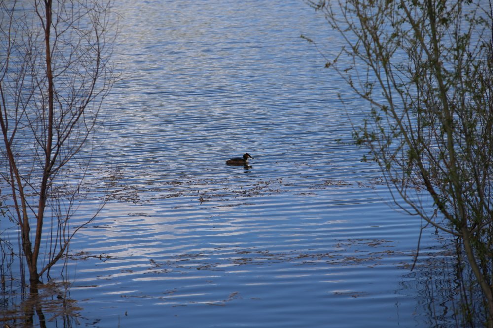 Haber Detay Görseli