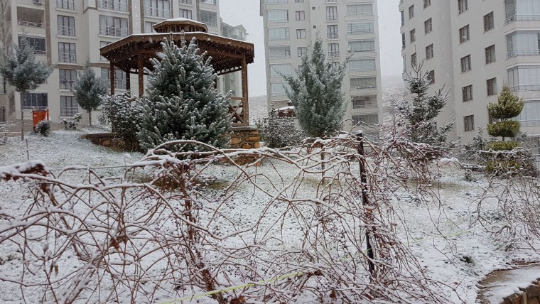 Haber Detay Görseli