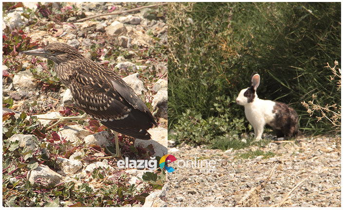 Haber Detay Görseli