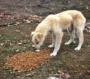 Haber Detay Görseli