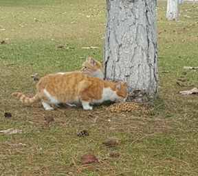 Haber Detay Görseli