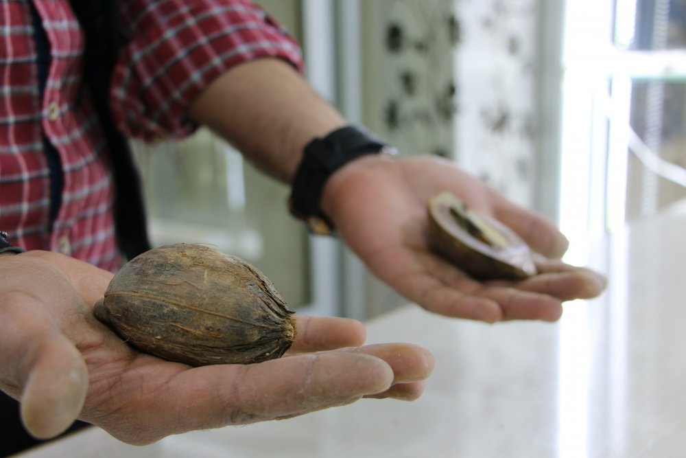 Haber Detay Görseli