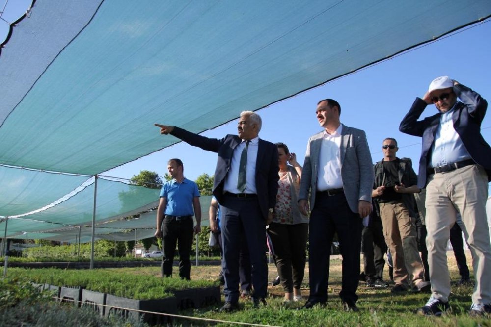 Haber Detay Görseli