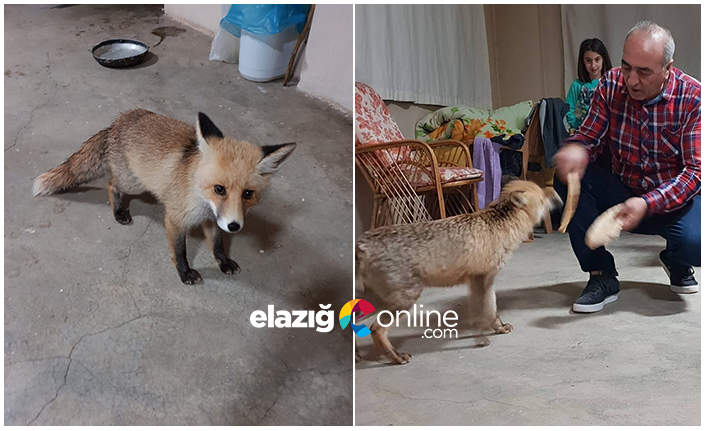 Haber Detay Görseli