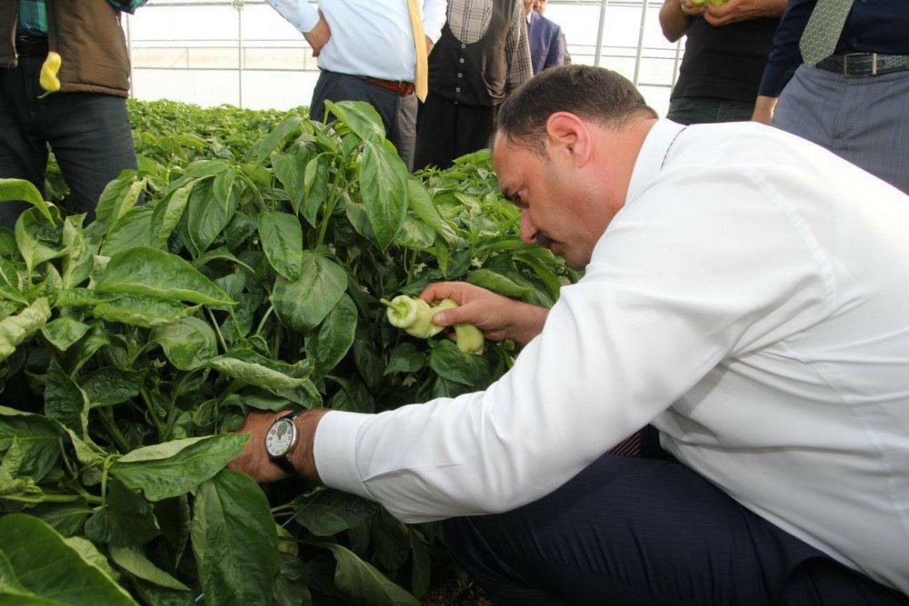 Haber Detay Görseli