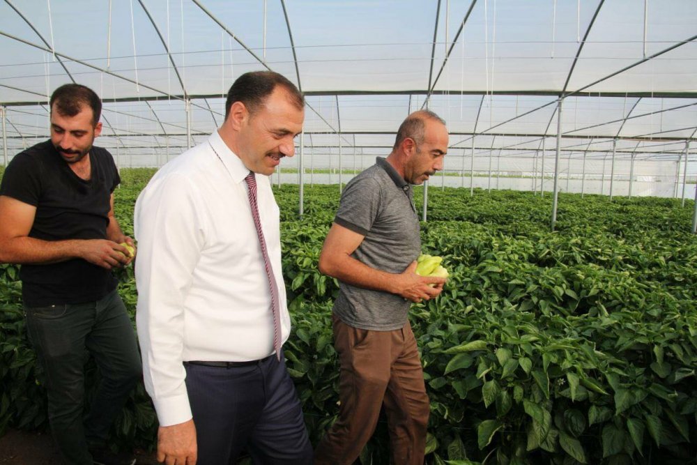 Haber Detay Görseli